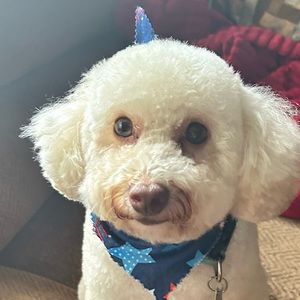 Meet your Posher, Marissa